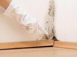  , USA Mold Removal & Remediation Pros